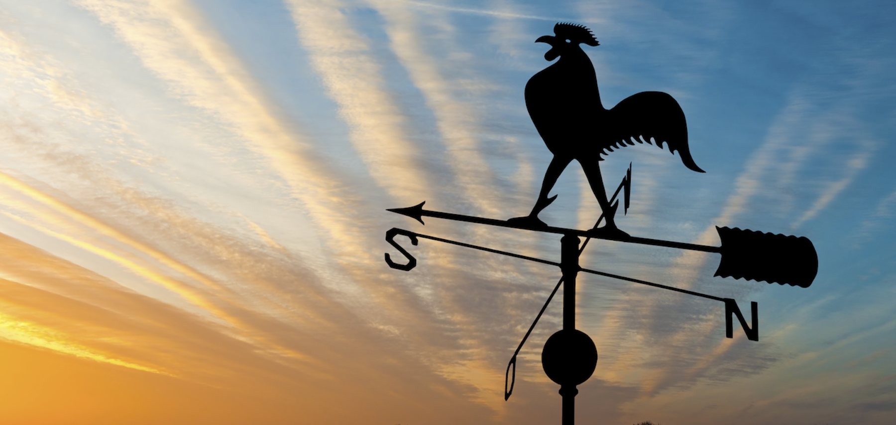 John Galt Solutions - Supply Chain Management Software